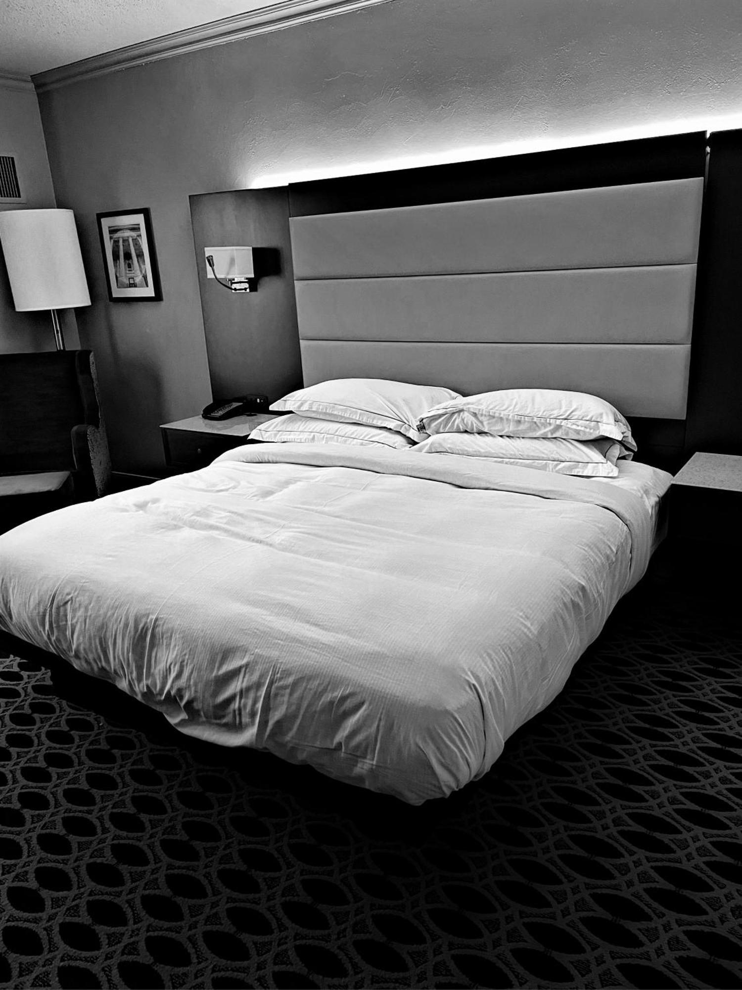 Hotel Ambience Plaza Jmd - Delhi Airport New Delhi Ngoại thất bức ảnh